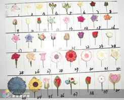 深圳 广东深圳销售 深圳建材 深圳建材市场 供应各类纸菊花 小玫瑰纸花 装饰纸花 小欧美纸花 深圳纸花加工厂 工艺品厂0755 84891518供应各类纸菊花 小玫瑰纸花 装饰纸花 小欧美纸花 深圳纸花加工厂 工艺品厂0755 84891518