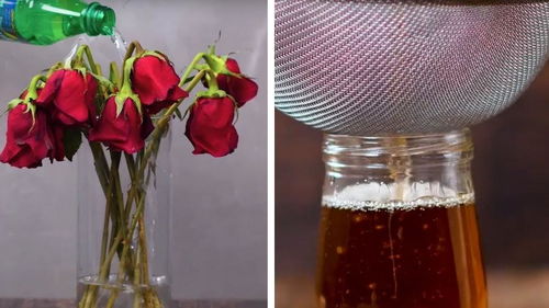 创意乐生活 生活小礼物小制作